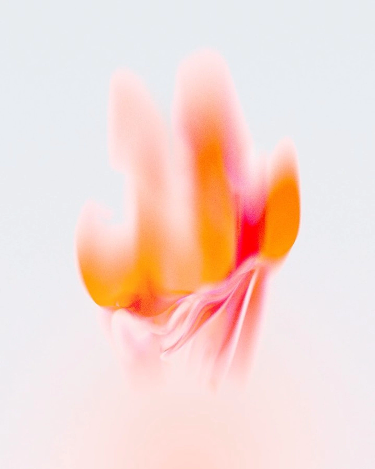 How to Launch Your First Merch Line as a Creator in 2026