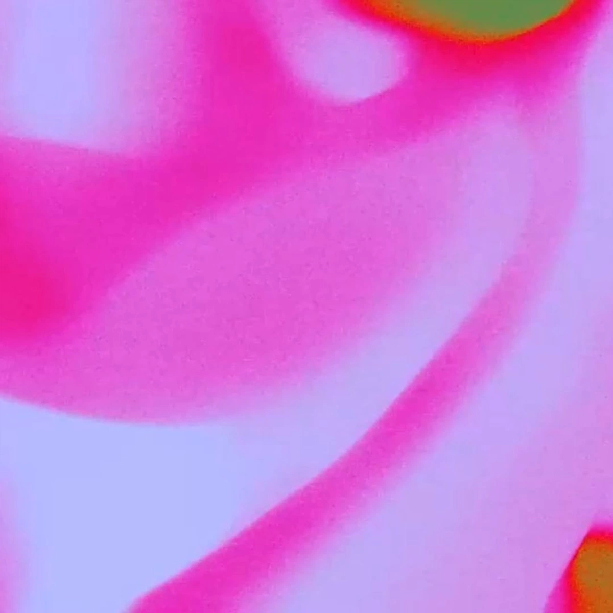 Merch Quality vs. Price: How to Find the Sweet Spot That Maximizes Profit