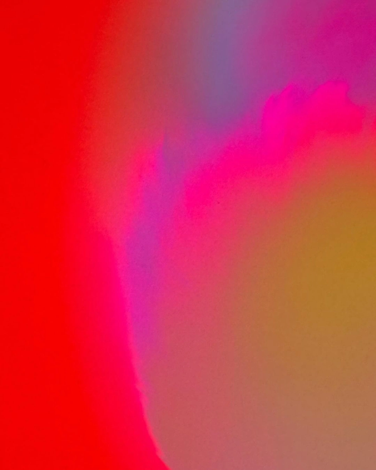 Creator Merch Success Stories: How 5 Creators Built Six-Figure Merch Businesses