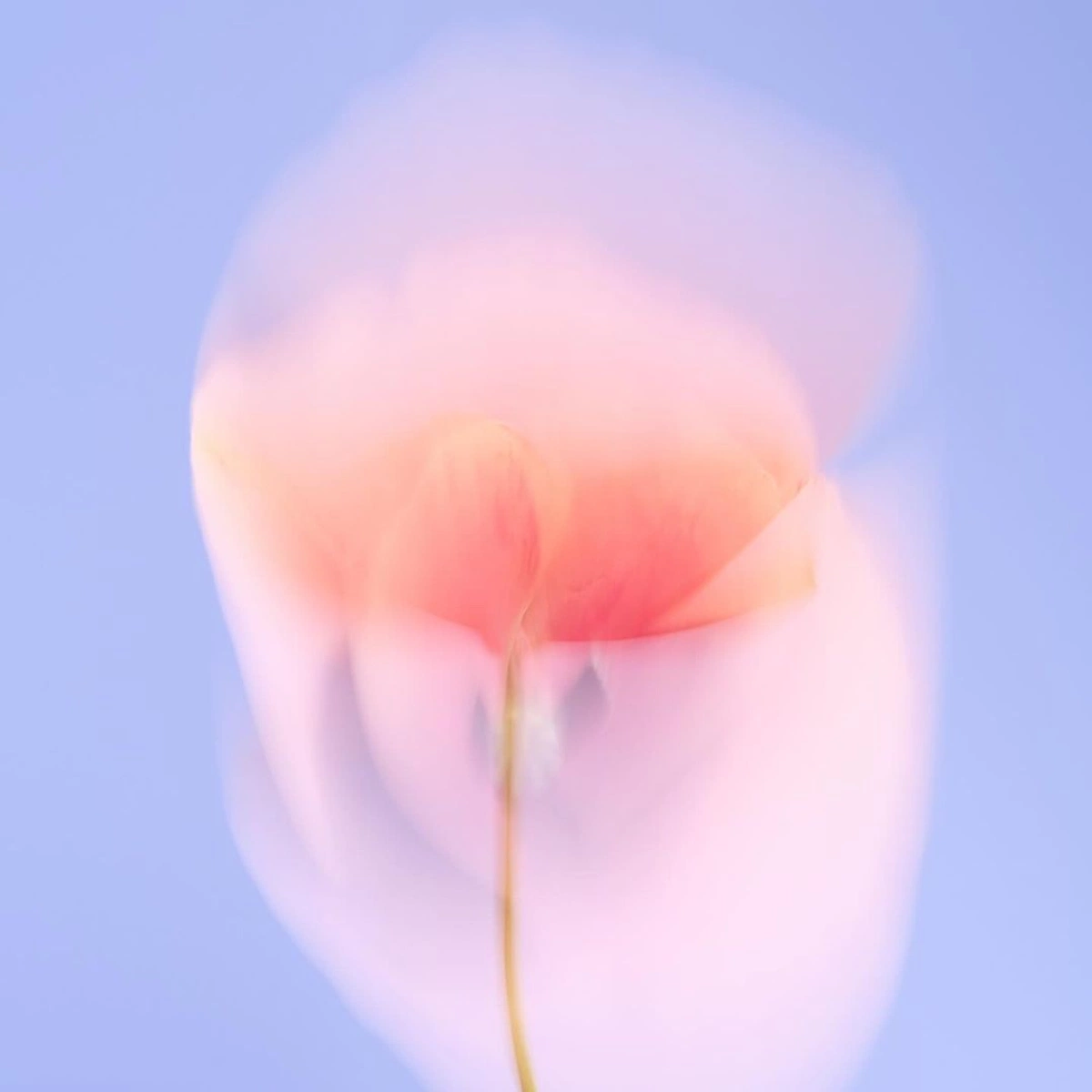 How Print-on-Demand Works for Creators: The Complete Guide for 2026