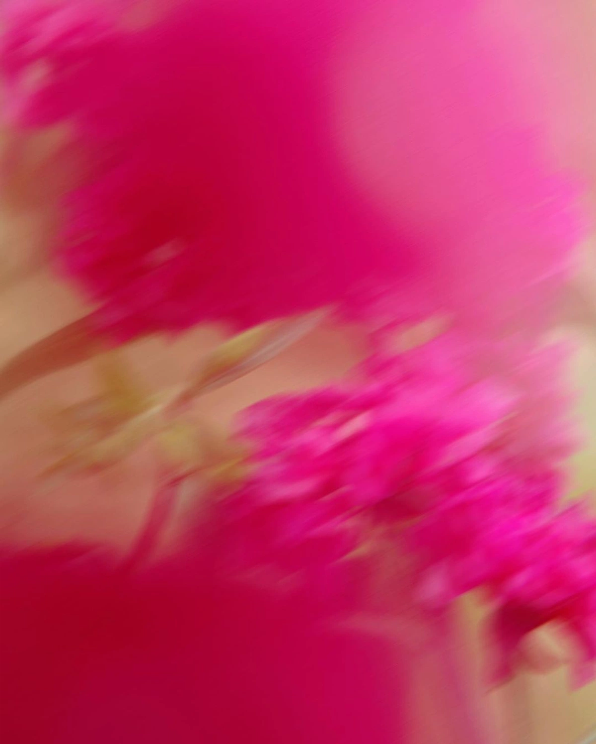 The Complete Guide to Email Marketing for Your Merch Store