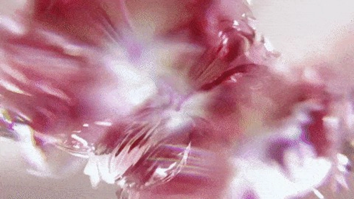 Custom Packaging and Unboxing Experiences That Turn Buyers into Brand Advocates